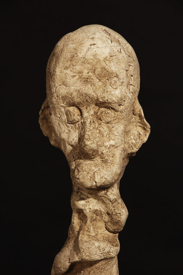 Close view of the ochre head, with closed eyes and an uneven, textured surface.