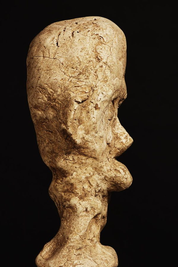 Close profile of the ochre head, showing the textured surface, pronounced nose and rounded chin.