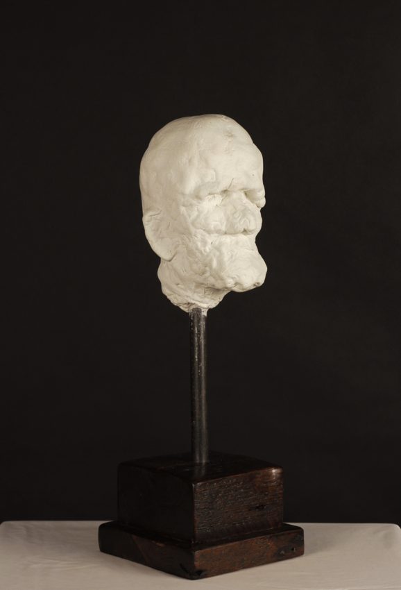 Textured pale head mounted on a narrow stem and dark wooden base